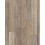 Twilight Oak