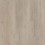 Hayes Oak