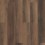 Cheshire Elm