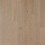 Dorian Gray Oak