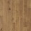 Canyon Dusk Hickory