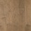 Fossil Hickory