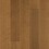 Light Amber Maple