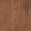 Golden Hickory