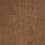 Palomino Birch