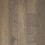 Doeskin Birch