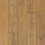 Topsail Oak