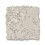 Timid White