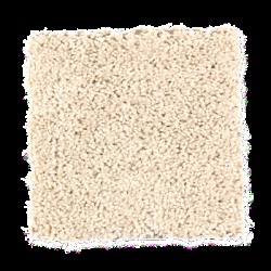 Mohawk Carpet | Save 30-50% | Shop Online