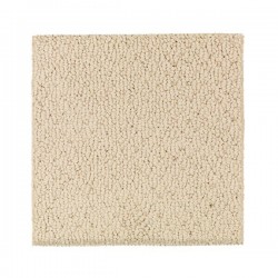 Mohawk Carpet - Save 30-50%
