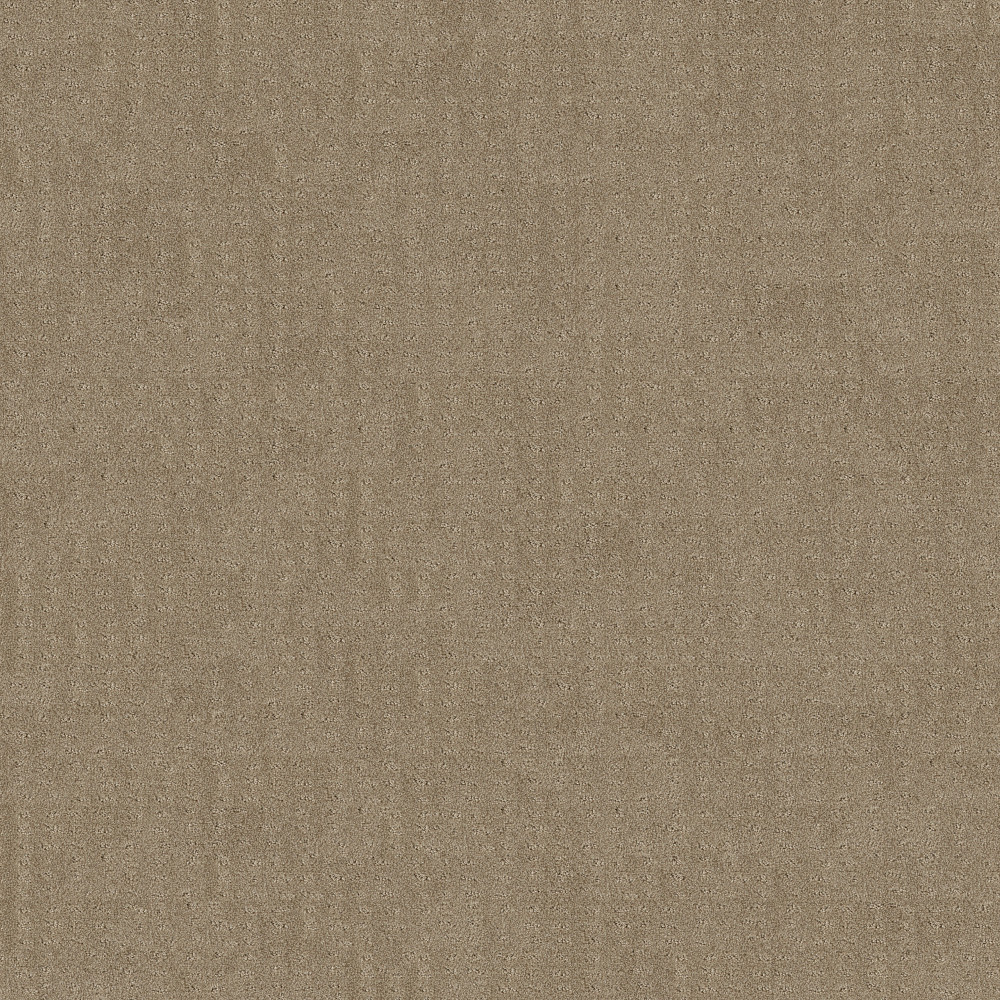 CHIC NUANCE MC972 701 BROWN