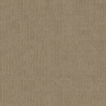 CHIC NUANCE MC972 701 BROWN
