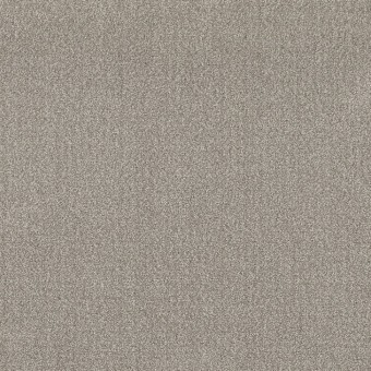 TRANSLATE MC968 505 GREY